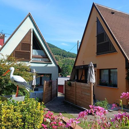 Gite Pinot Gris Et Gite Pinot Blanc Kaysersberg-Vignoble Luaran gambar